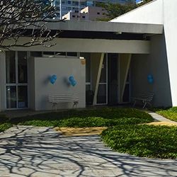Imagem 01
